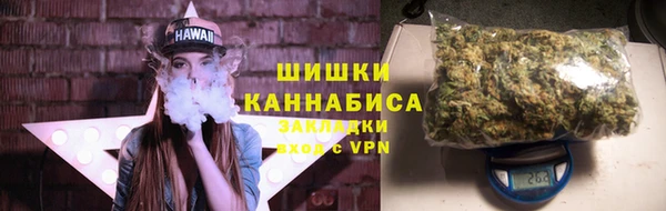 сатива Дмитровск