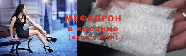 сатива Дмитровск