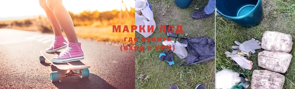 сатива Дмитровск