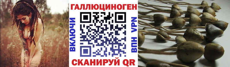 Галлюциногенные грибы прущие грибы  нарко площадка официальный сайт  Дно  где можно купить наркотик 